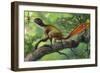 Epidexipteryx Perched on a Branch Ready to Eat a Nearby Spider-null-Framed Premium Giclee Print