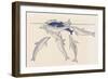 Epimeletic (Care-Soliciting) Behavior in Dolphins, Delphinidae-null-Framed Giclee Print