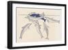 Epimeletic (Care-Soliciting) Behavior in Dolphins, Delphinidae-null-Framed Giclee Print