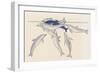 Epimeletic (Care-Soliciting) Behavior in Dolphins, Delphinidae-null-Framed Premium Giclee Print