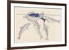 Epimeletic (Care-Soliciting) Behavior in Dolphins, Delphinidae-null-Framed Giclee Print