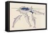 Epimeletic (Care-Soliciting) Behavior in Dolphins, Delphinidae-null-Framed Stretched Canvas