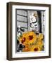 Epipahn-Barry Kite-Framed Art Print