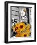 Epipahn-Barry Kite-Framed Art Print