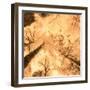 Epiphany I-Marvin Pelkey-Framed Art Print