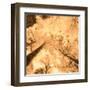 Epiphany I-Marvin Pelkey-Framed Art Print