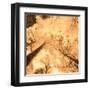 Epiphany I-Marvin Pelkey-Framed Art Print