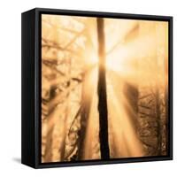 Epiphany II-Marvin Pelkey-Framed Stretched Canvas