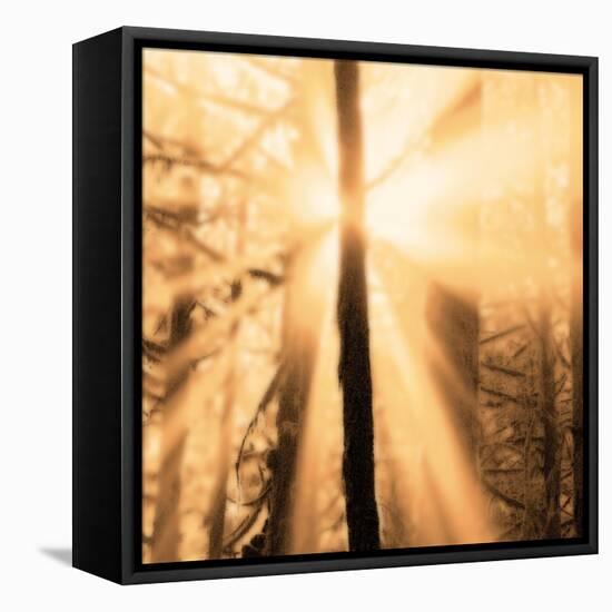 Epiphany II-Marvin Pelkey-Framed Stretched Canvas
