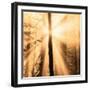 Epiphany II-Marvin Pelkey-Framed Art Print