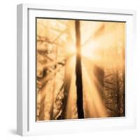 Epiphany II-Marvin Pelkey-Framed Art Print