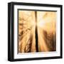 Epiphany II-Marvin Pelkey-Framed Art Print