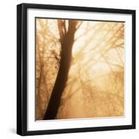 Epiphany III-Marvin Pelkey-Framed Art Print