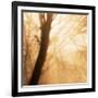 Epiphany III-Marvin Pelkey-Framed Art Print