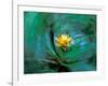 Epiphyte, Barro Colorado Island, Panama-Christian Ziegler-Framed Photographic Print