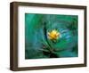 Epiphyte, Barro Colorado Island, Panama-Christian Ziegler-Framed Photographic Print