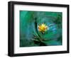 Epiphyte, Barro Colorado Island, Panama-Christian Ziegler-Framed Photographic Print