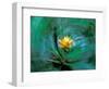 Epiphyte, Barro Colorado Island, Panama-Christian Ziegler-Framed Photographic Print