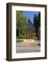 Episcopal Church in Berkeley, CA-sholderfield-Framed Photographic Print