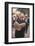 Episcopalian Priest Reading a Newspaper While Walking in Street, New York City-Vernon Merritt III-Framed Photographic Print