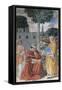 Episodes from the Life of St. Augustine, 1463-65-Benozzo di Lese di Sandro Gozzoli-Framed Stretched Canvas