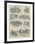 Episodes in the Career of a Polo Pony-null-Framed Giclee Print