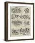 Episodes in the Career of a Polo Pony-null-Framed Giclee Print