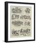 Episodes in the Career of a Polo Pony-null-Framed Giclee Print