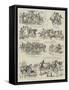Episodes in the Career of a Polo Pony-null-Framed Stretched Canvas