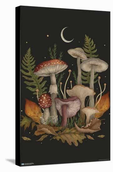 Episodic Drawing - Autumn Mushrooms-Trends International-Stretched Canvas