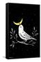 Episodic Drawing - Moon Bird-Trends International-Framed Stretched Canvas