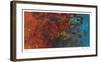 Epoch Autumn-Lynn Basa-Framed Limited Edition