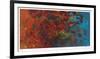 Epoch Autumn-Lynn Basa-Framed Limited Edition