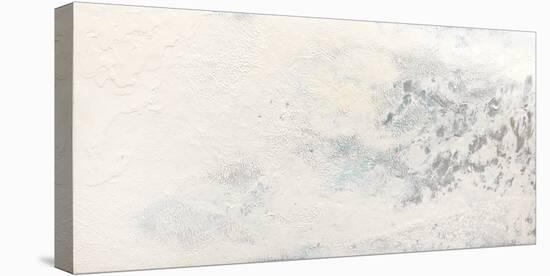 Epoch Winter-Lynn Basa-Stretched Canvas