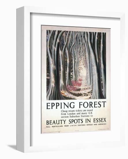 Epping Forest Beauty Spots in Essex-null-Framed Art Print