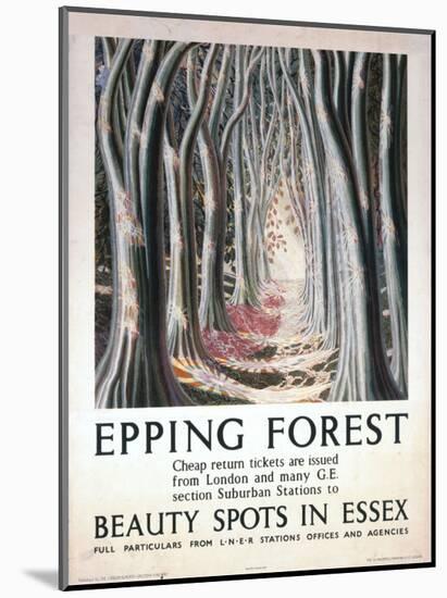 Epping Forest Beauty Spots in Essex-null-Mounted Art Print