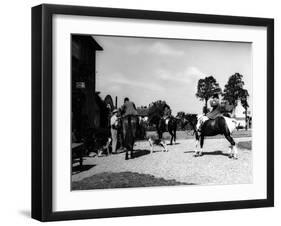 Epping Green Fox Meet-null-Framed Photographic Print