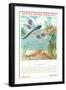 Epps's Nature Series, Dragon Fly-null-Framed Art Print