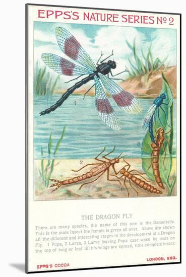 Epps's Nature Series, Dragon Fly-null-Mounted Art Print