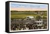 Epsom Downs Racetrack, Houston, Texas-null-Framed Stretched Canvas