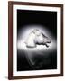 Epsom' No. 1153, a Clear and Frosted Glass Car Mascot in the Form of a Horse's Head-null-Framed Giclee Print