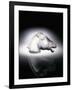 Epsom' No. 1153, a Clear and Frosted Glass Car Mascot in the Form of a Horse's Head-null-Framed Giclee Print