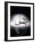 Epsom' No. 1153, a Clear and Frosted Glass Car Mascot in the Form of a Horse's Head-null-Framed Giclee Print