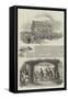 Epsom Races 1846-null-Framed Stretched Canvas