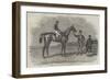 Epsom Races, 1852, Daniel O'Rourke, the Winner of The Derby Stakes-Benjamin Herring-Framed Giclee Print