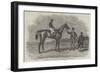 Epsom Races, 1852, Daniel O'Rourke, the Winner of The Derby Stakes-Benjamin Herring-Framed Giclee Print