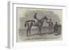 Epsom Races, 1852, Daniel O'Rourke, the Winner of The Derby Stakes-Benjamin Herring-Framed Giclee Print