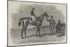 Epsom Races, 1852, Daniel O'Rourke, the Winner of The Derby Stakes-Benjamin Herring-Mounted Giclee Print