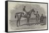 Epsom Races, 1852, Daniel O'Rourke, the Winner of The Derby Stakes-Benjamin Herring-Framed Stretched Canvas