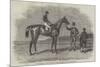 Epsom Races, 1852, Daniel O'Rourke, the Winner of The Derby Stakes-Benjamin Herring-Mounted Giclee Print